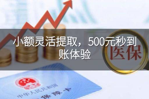 小额灵活提取，500元秒到账体验